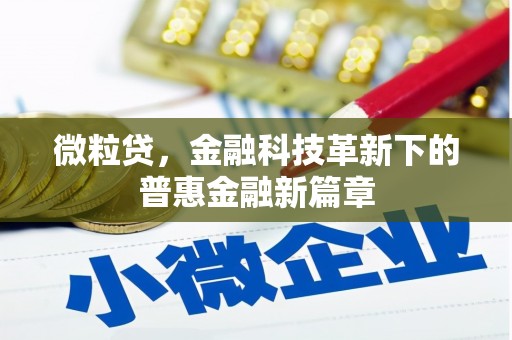 微山微粒贷，金融科技革新下的普惠金融新篇章
