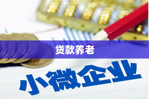 微山贷款养老