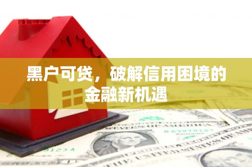 微山黑户可贷，破解信用困境的金融新机遇