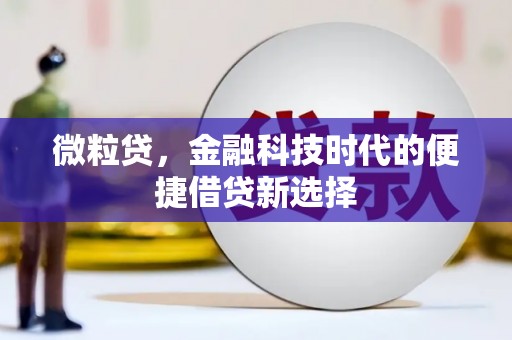 微山微粒贷，金融科技时代的便捷借贷新选择