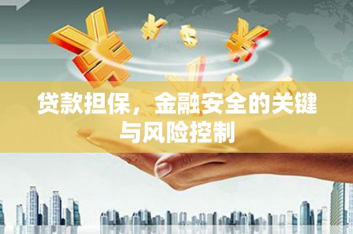 微山贷款担保，金融安全的关键与风险控制