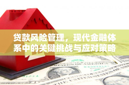 微山贷款风险管理，现代金融体系中的关键挑战与应对策略