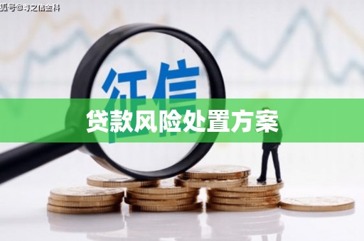微山贷款风险处置方案