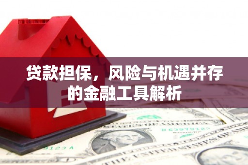 微山贷款担保，风险与机遇并存的金融工具解析