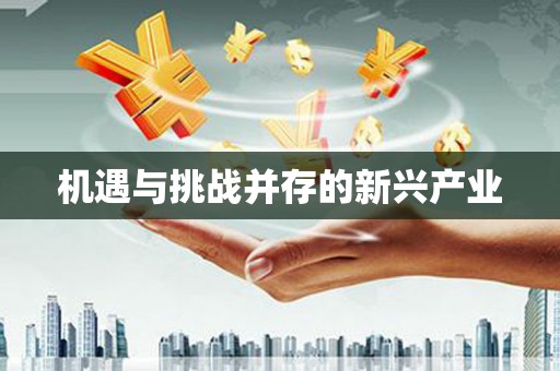 微山机遇与挑战并存的新兴产业