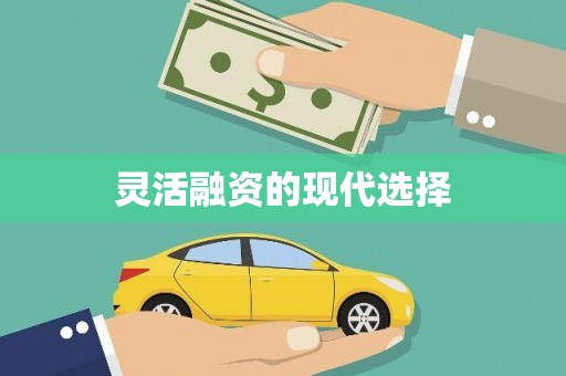 微山灵活融资的现代选择