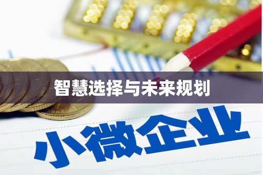 微山智慧选择与未来规划