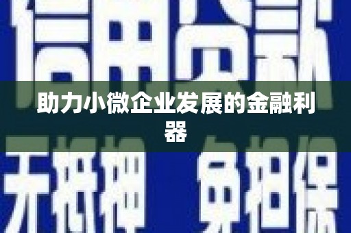 微山助力小微企业发展的金融利器