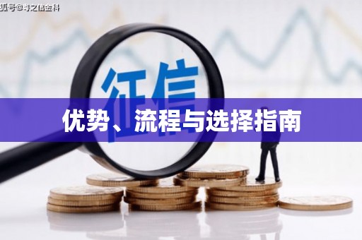 微山优势、流程与选择指南