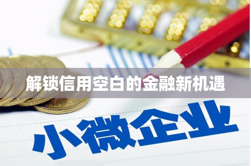 微山解锁信用空白的金融新机遇