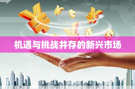 微山机遇与挑战并存的新兴市场