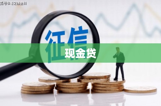 微山现金贷