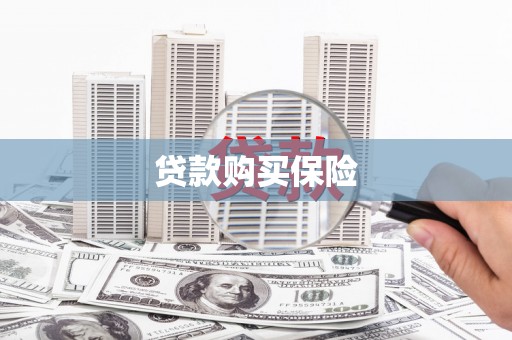 微山贷款购买保险