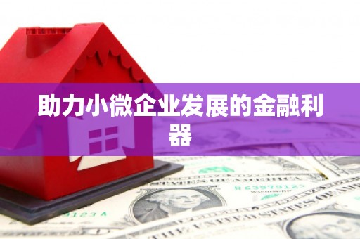 微山助力小微企业发展的金融利器